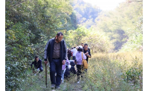 踏秋尋寶，聞香識(shí)藥！首屆神農(nóng)杯野外識(shí)藥大賽在株洲鳳凰山景區(qū)成功舉辦！