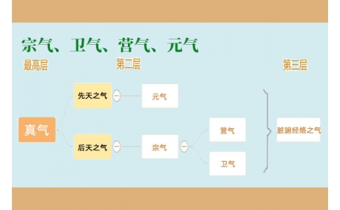中醫(yī)里的“宗氣”、“衛(wèi)氣”、“營氣”、“元氣”